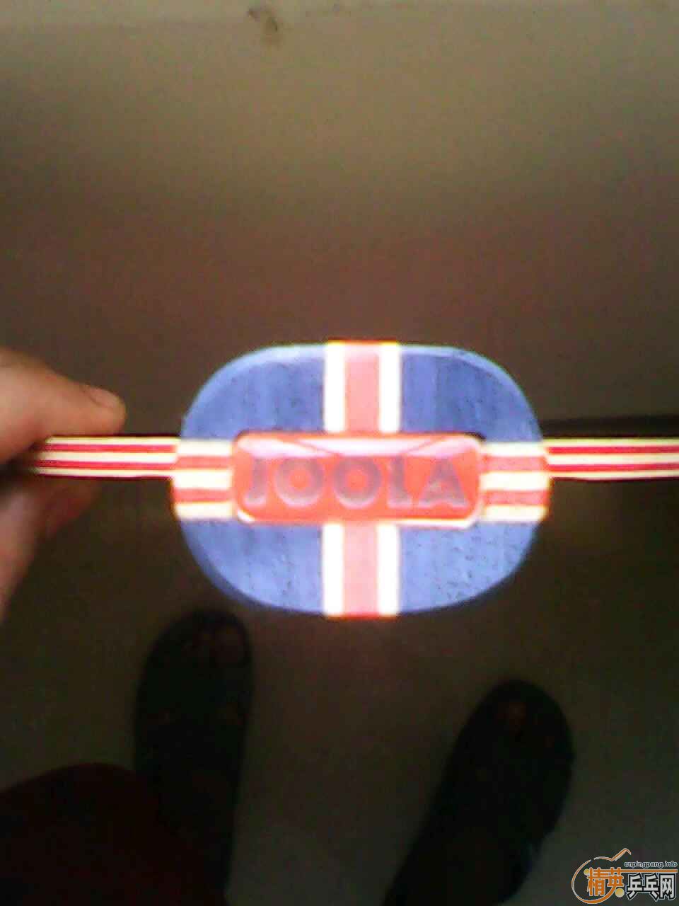 [ԭ��] JOOLA ����VIVA