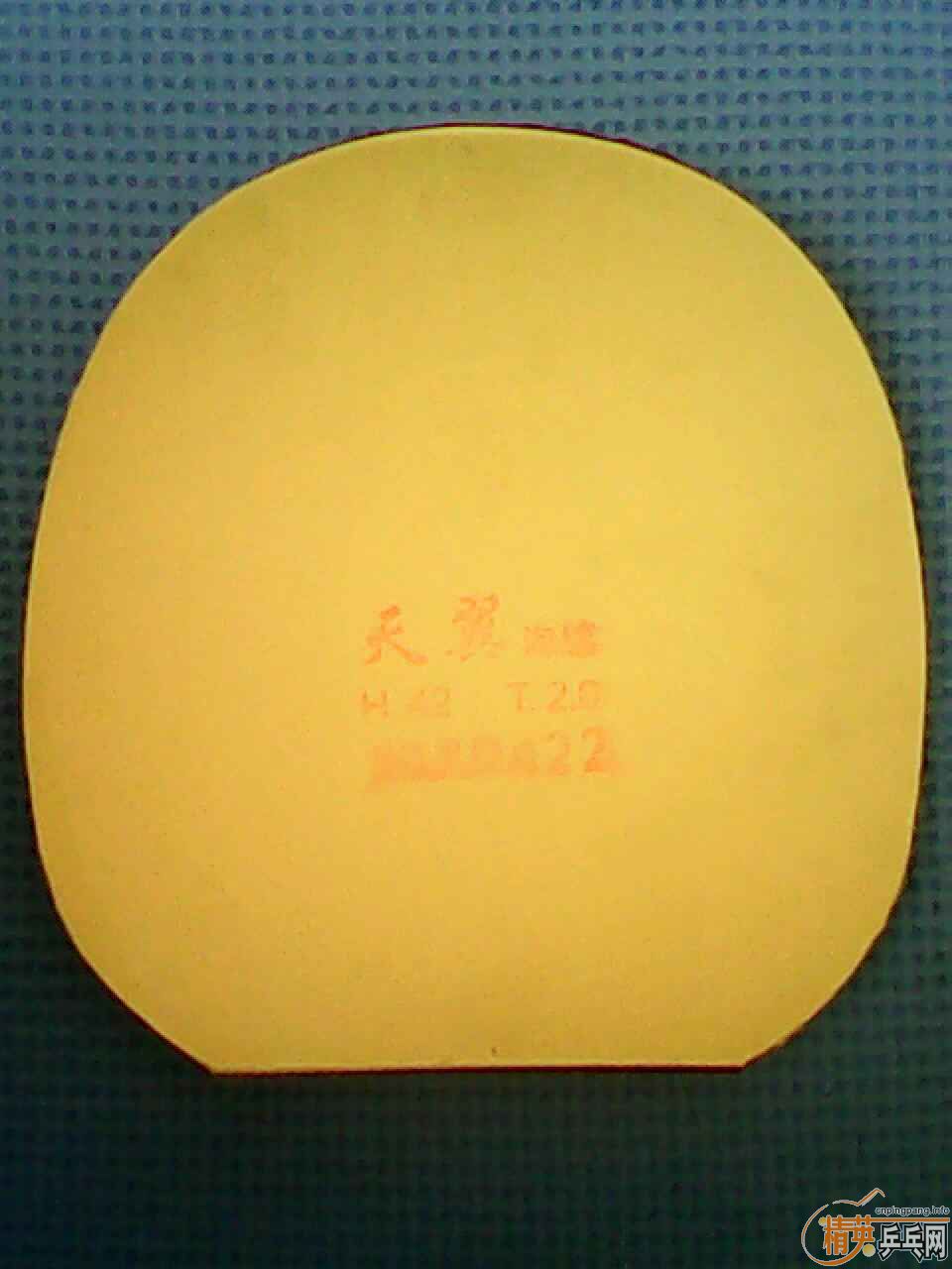 [ԭ��] JOOLA ����VIVA