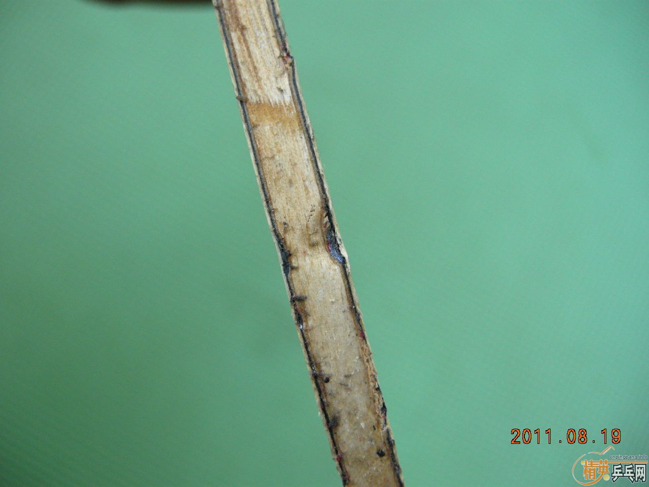 [ԭ��]������970̼�ذ�150Ԫ��Բͨ