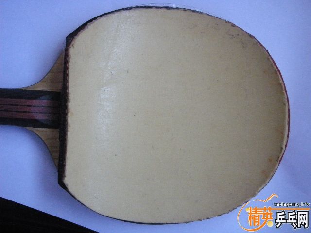 Stiga�ĳ���ŵ��������75Ԫ�������ʡ�