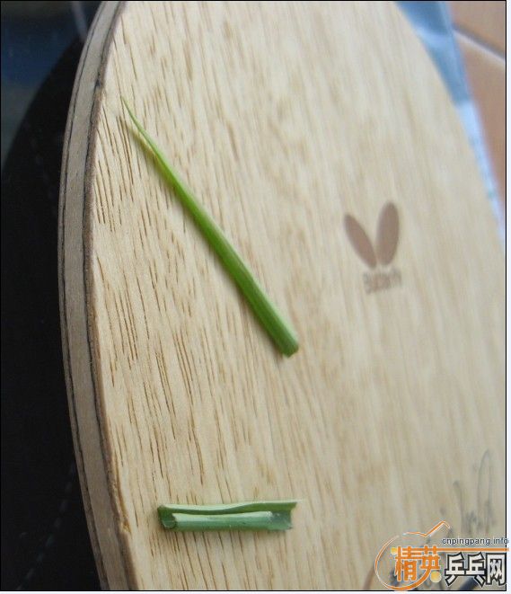 ���ѳ���������������ZLC