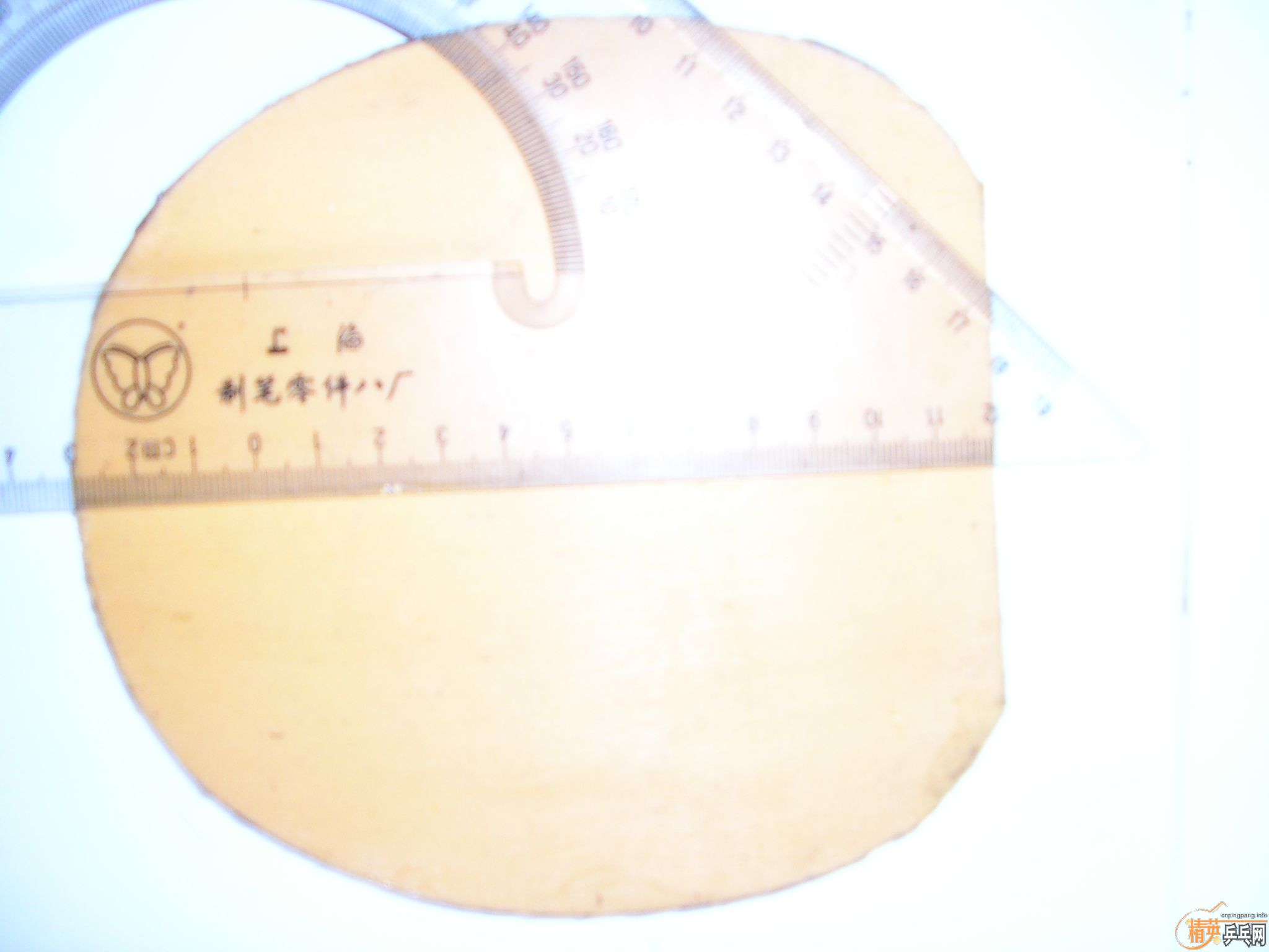 ��EL��ʡ��F1