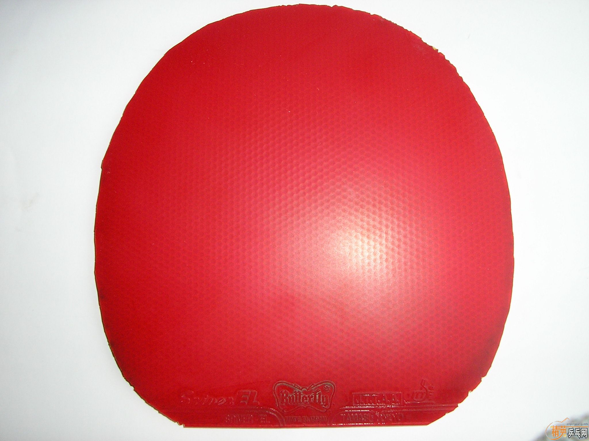 ��EL��ʡ��F1