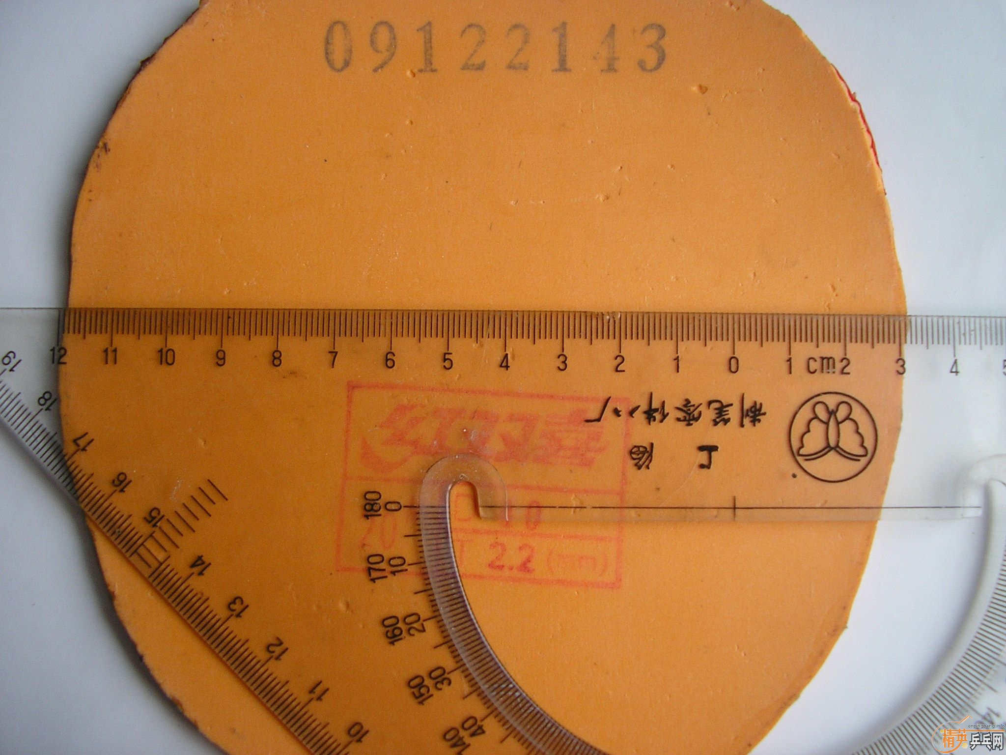 �� EL ʡ�� F1