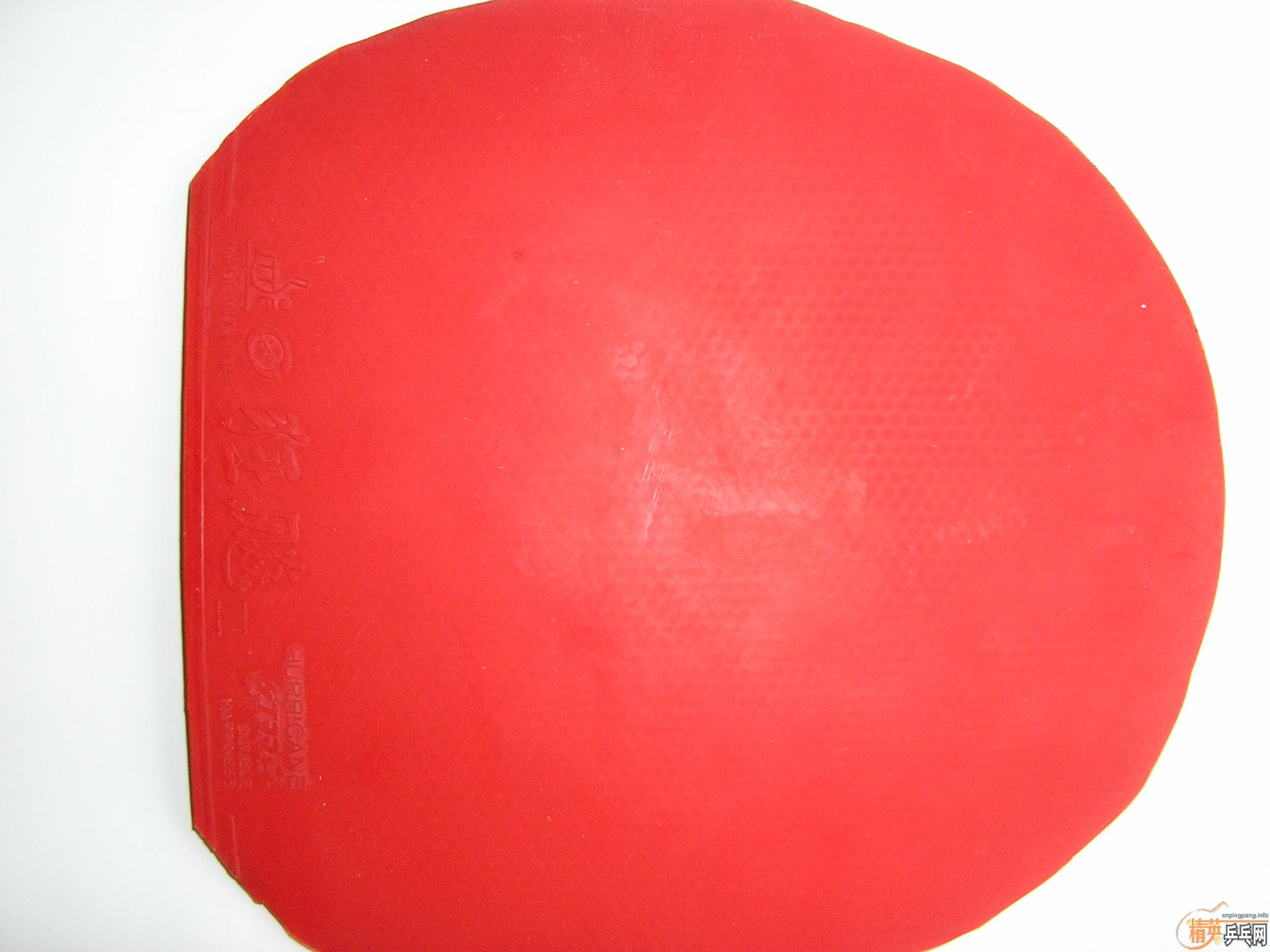 �� EL ʡ�� F1