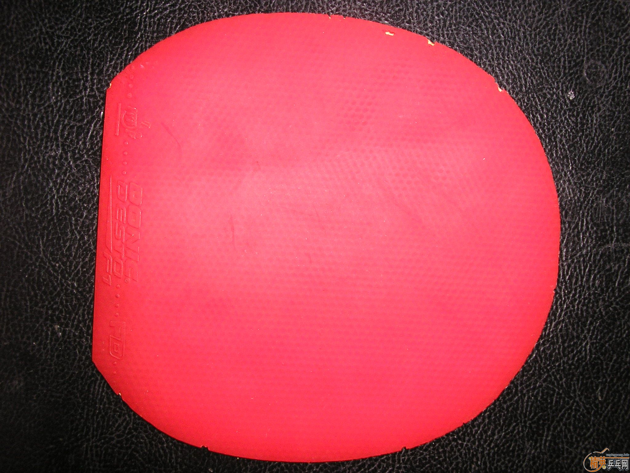 �� EL ʡ�� F1