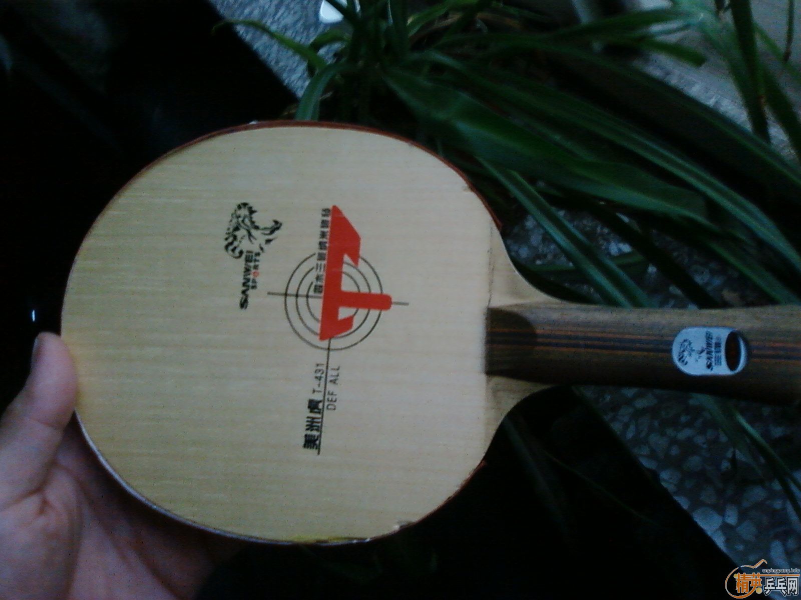 ûά ޻-T  431 defİӣ