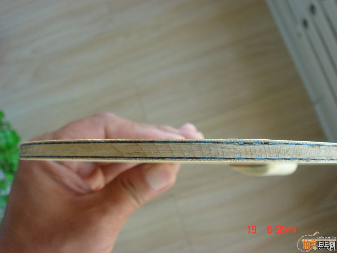 550���ʳ�������