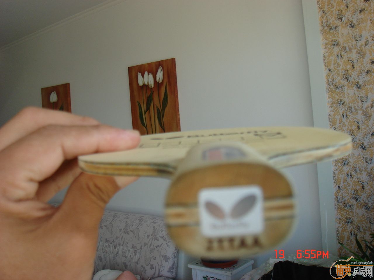 550���ʳ�������