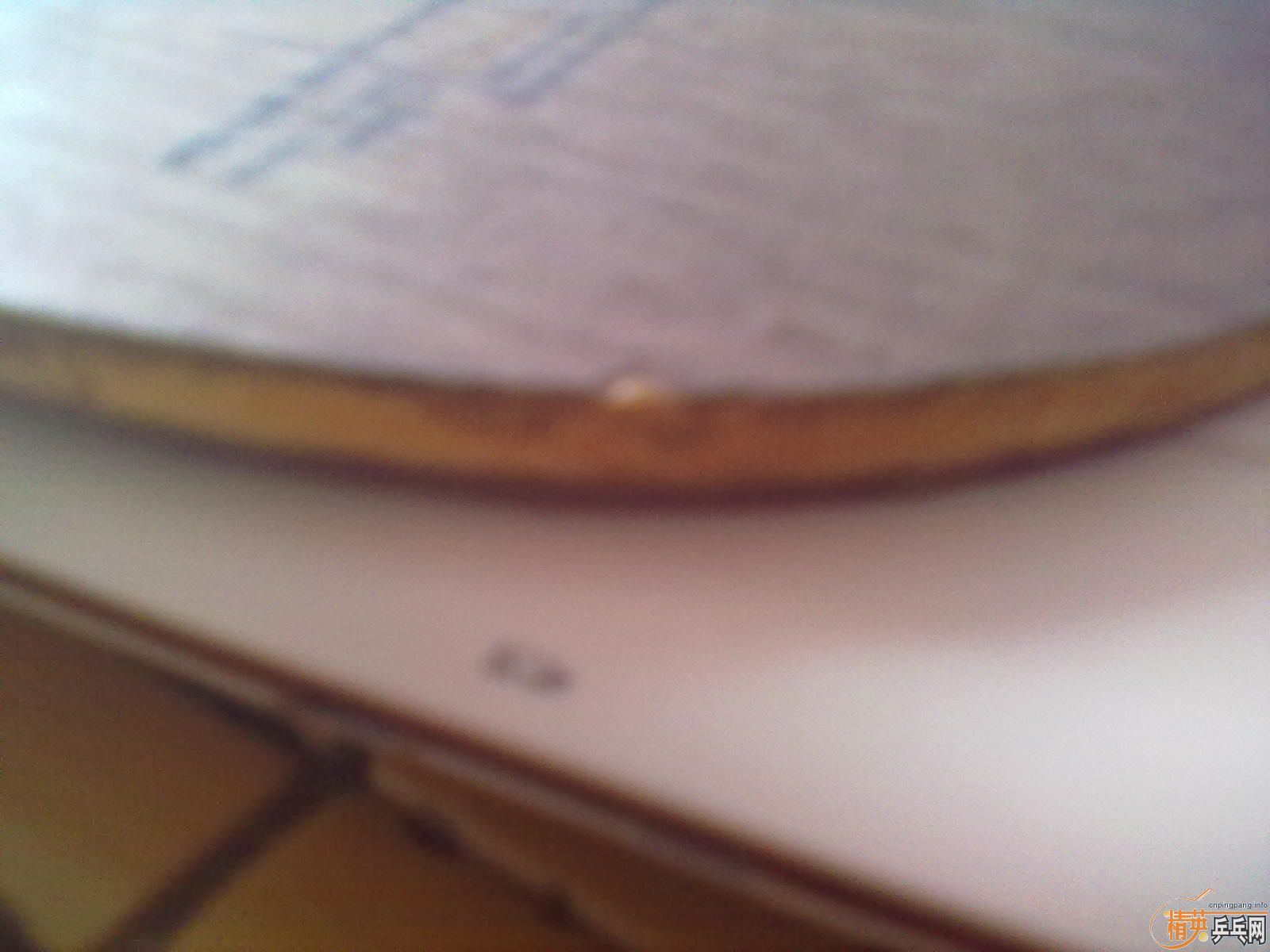 ��ֻ���˵Ĳ�����300������������ī����