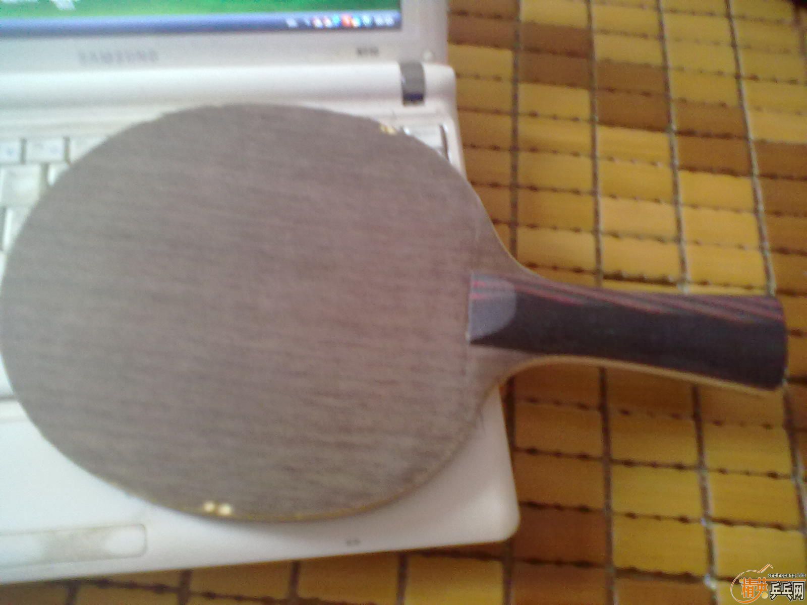 ��ֻ���˵Ĳ�����300������������ī����