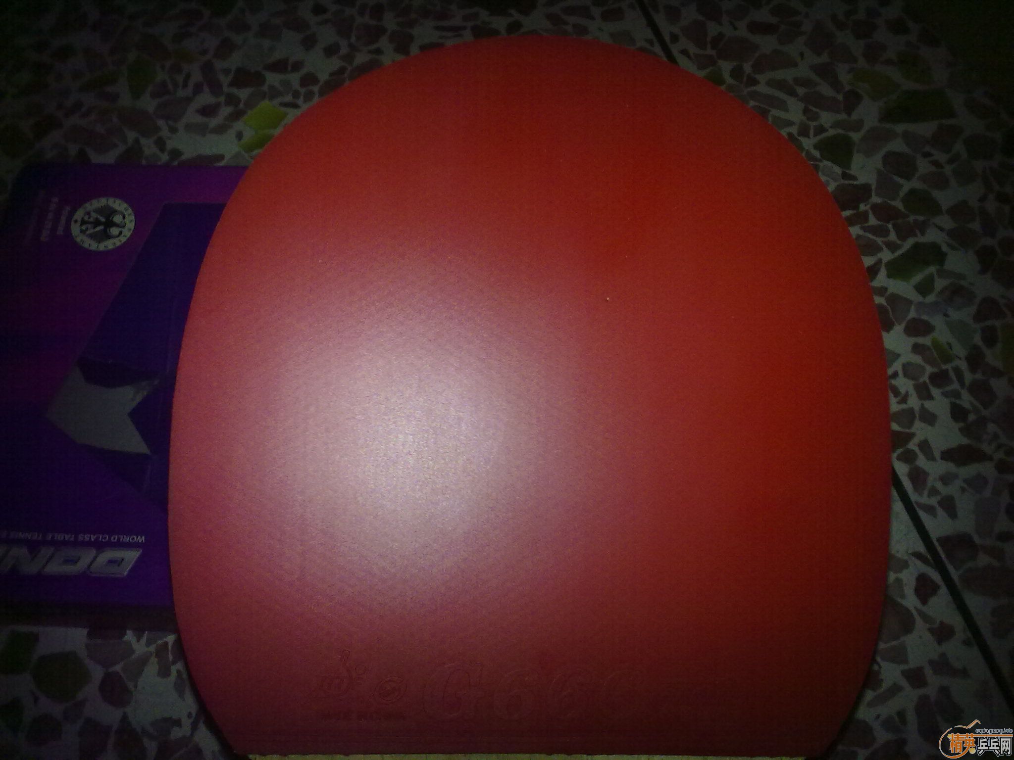 ��9.5�µ�YO ������