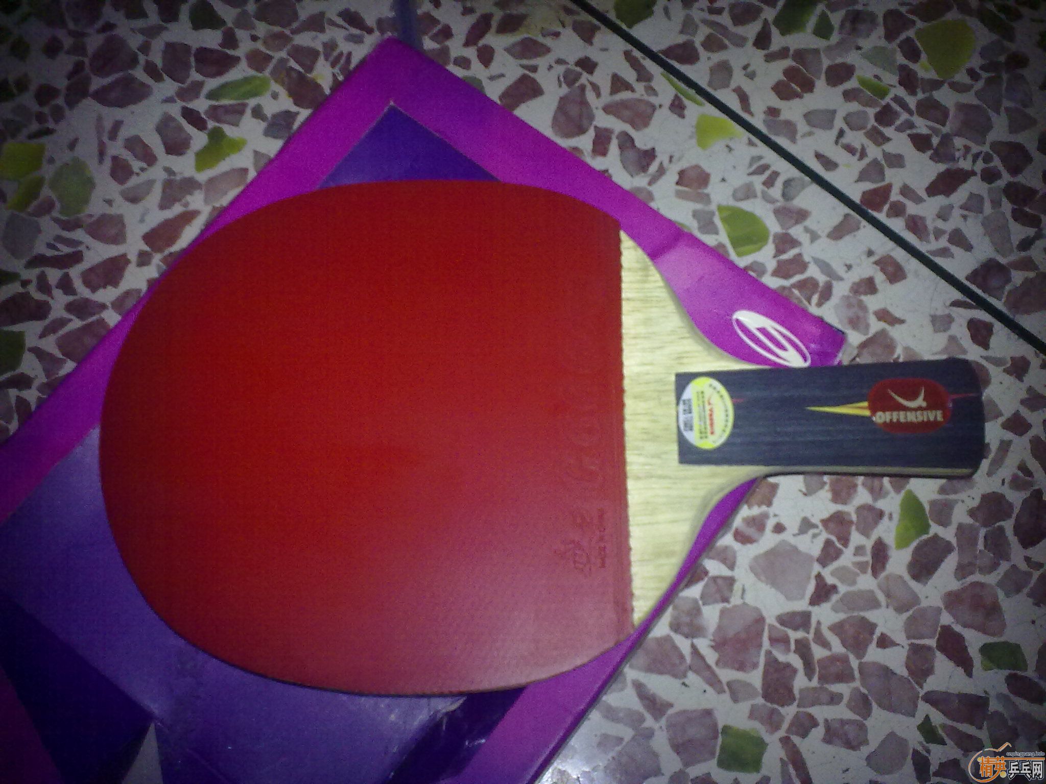 ��9.5�µ�YO ������