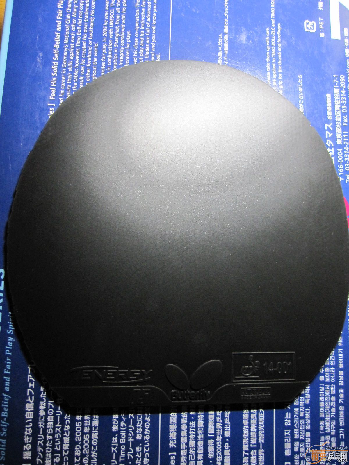 ����ɫ����05