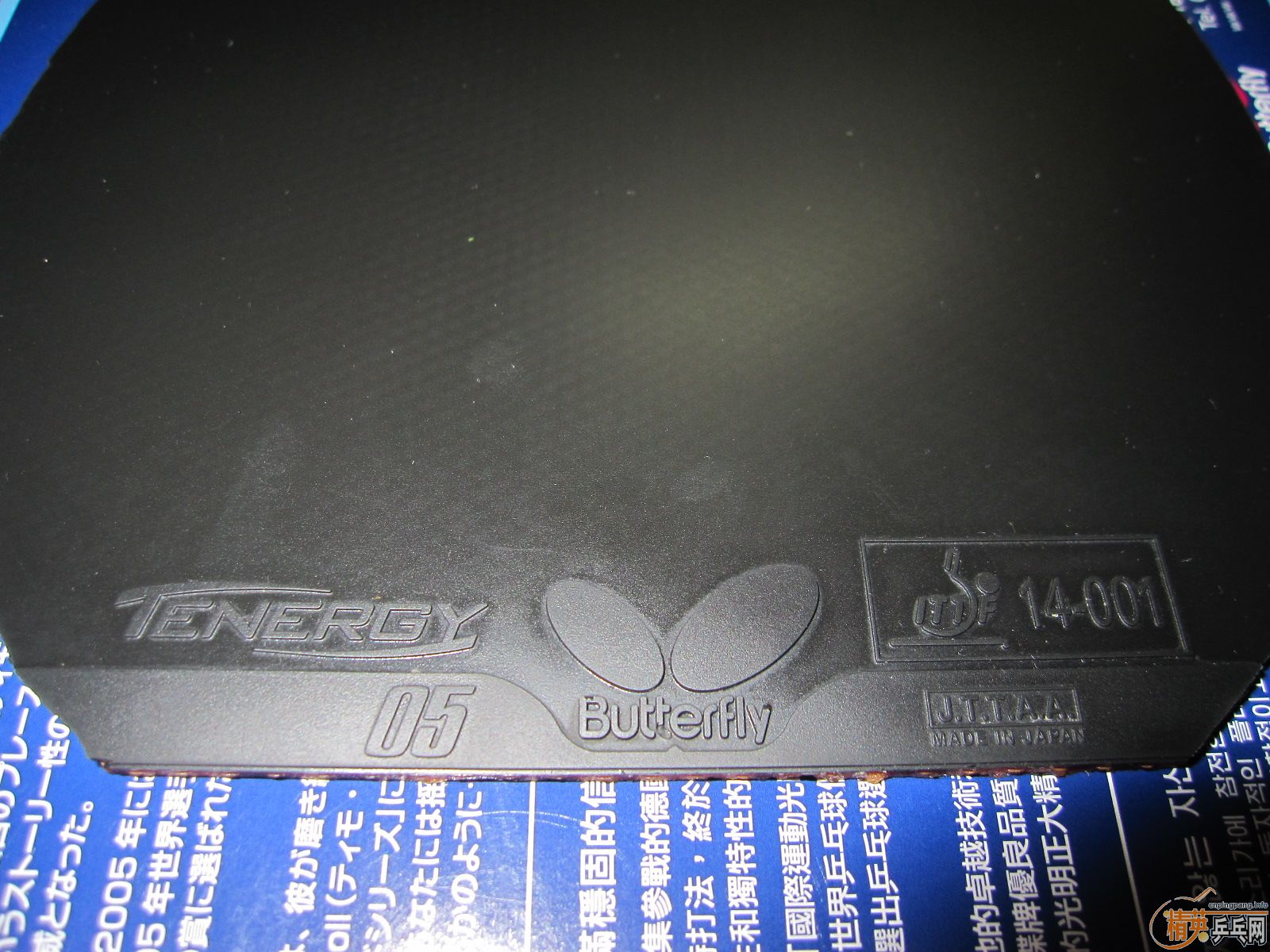 ����ɫ����05