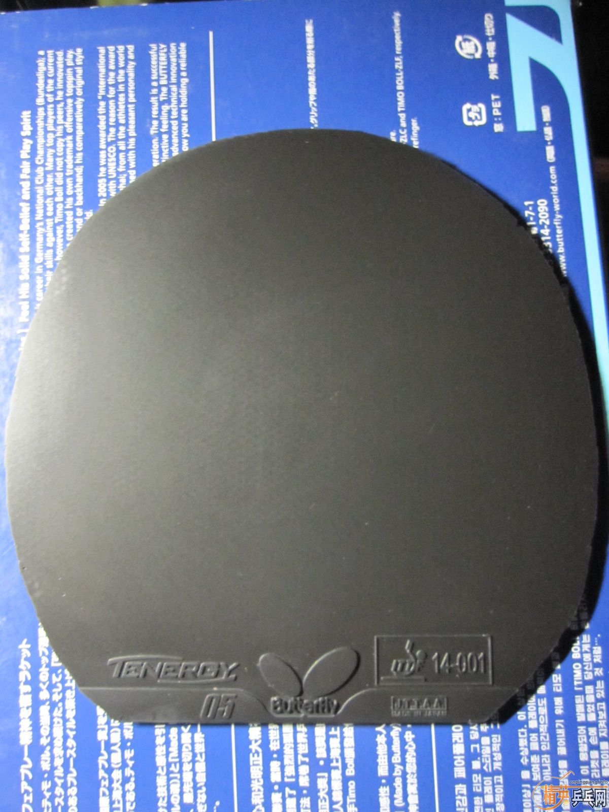 ����ɫ����05