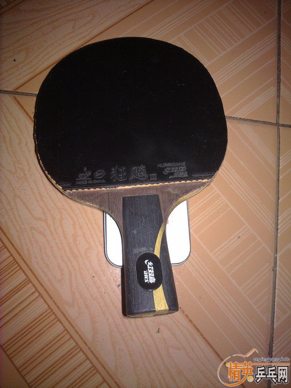 ���۽����������켫825