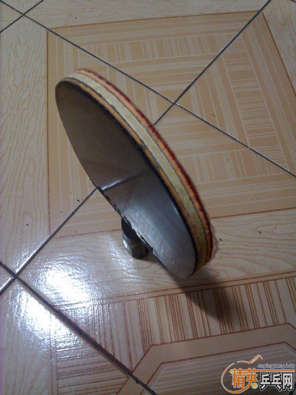 ���۽����������켫825