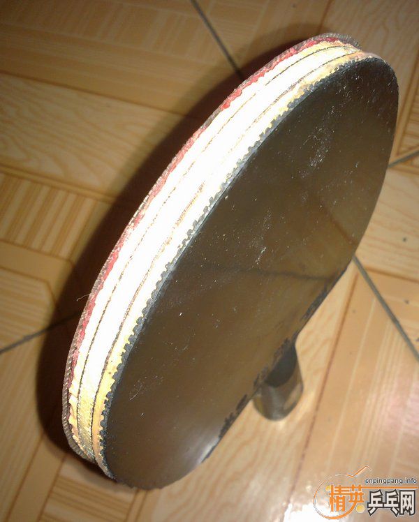 ���۽����������켫825