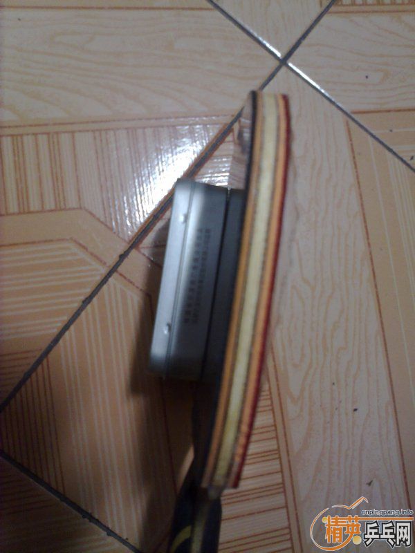 ���۽����������켫825