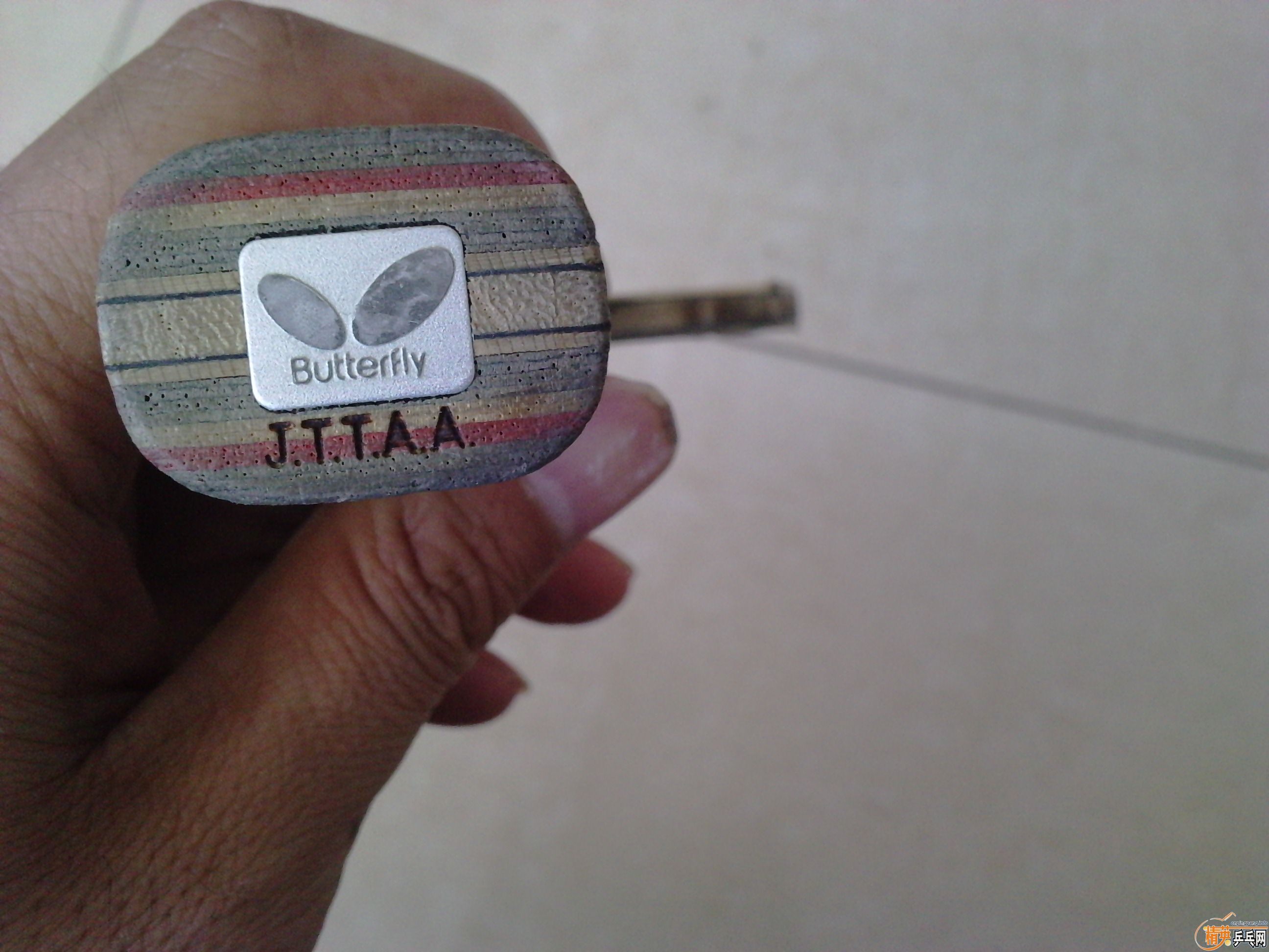 ��̼�ͺ��������EG���500Ԫ��