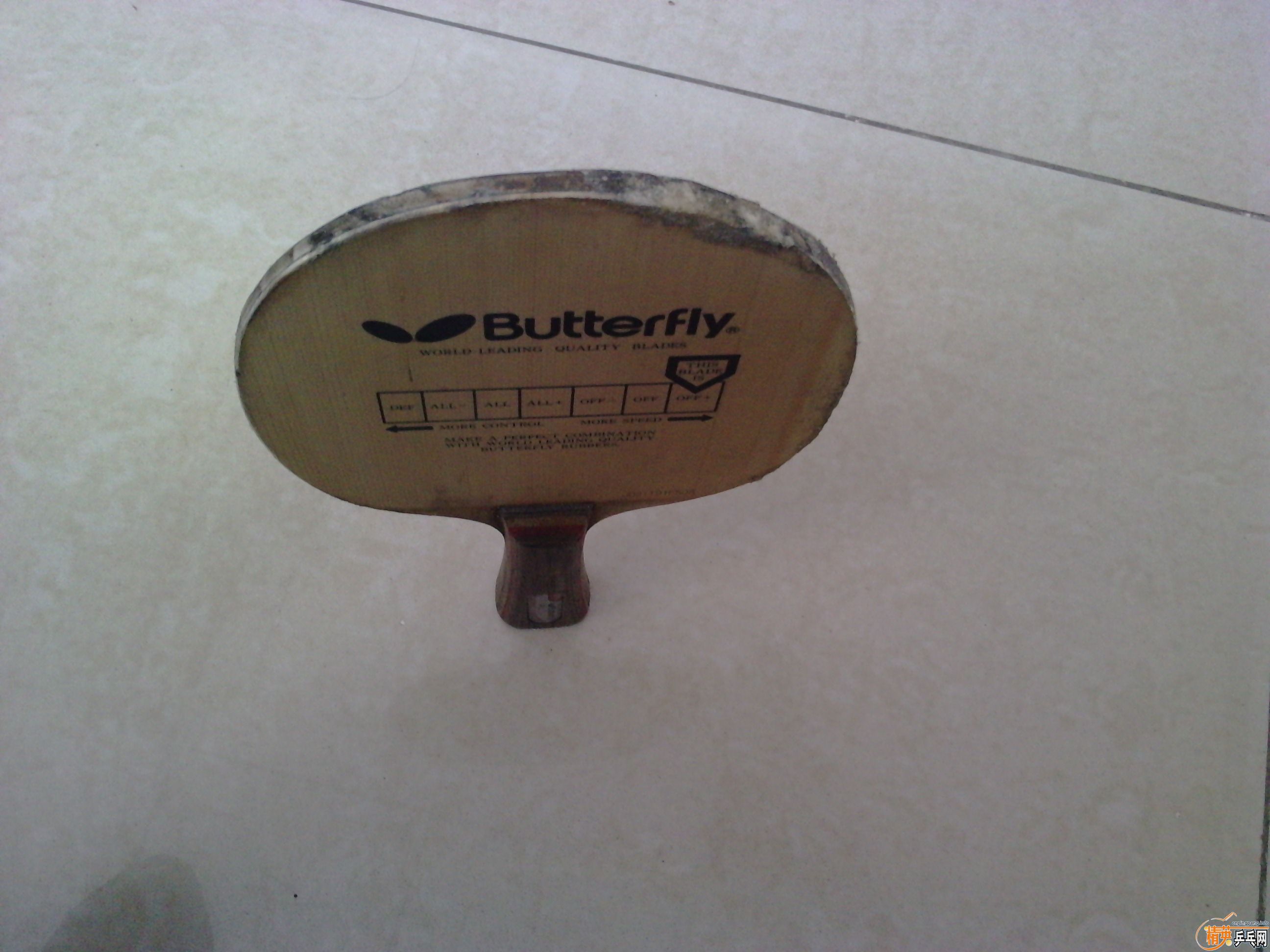 ��̼�ͺ��������EG���500Ԫ��