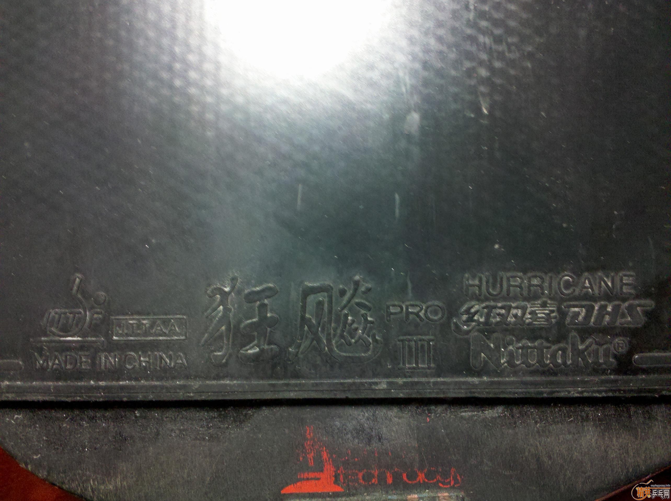 ѳ̼+nitakkupro,Ϳһţ350Ԫ-->wzq2003188ת
