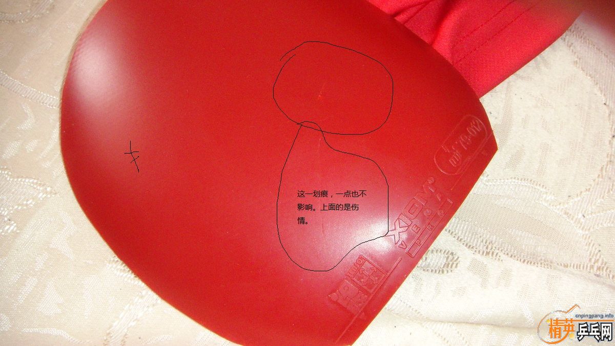 ��T05.xiom��V