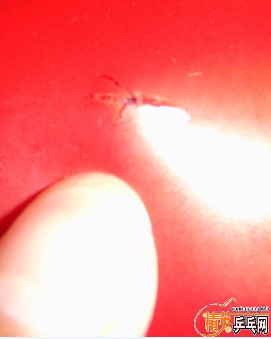 ��T05.xiom��V