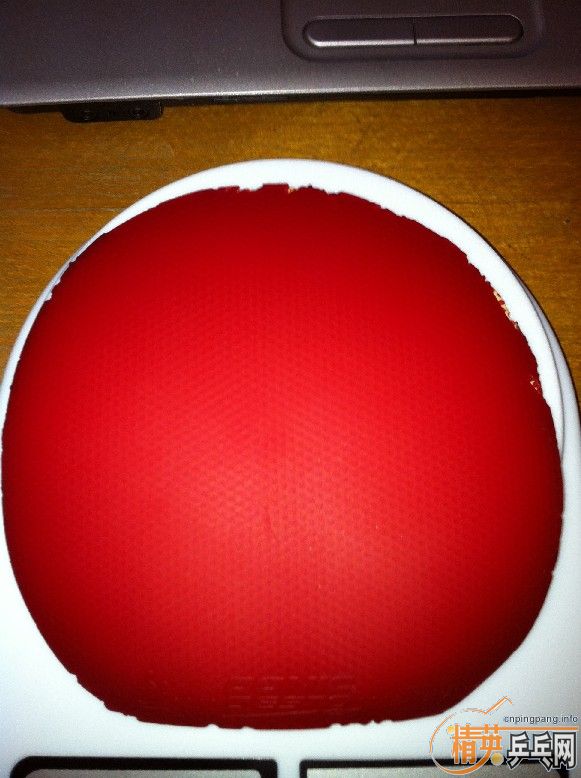 ֧������Щ�ͼ۵װ���׽�