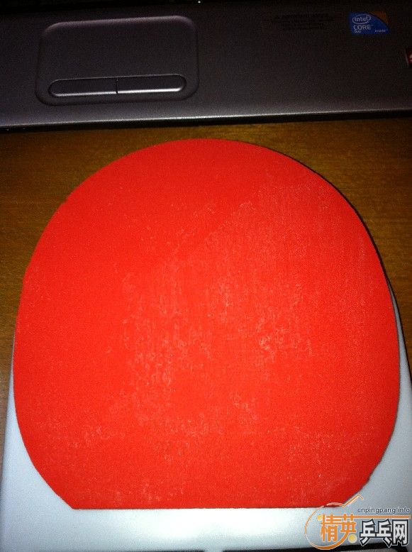 ֧������Щ�ͼ۵װ���׽�