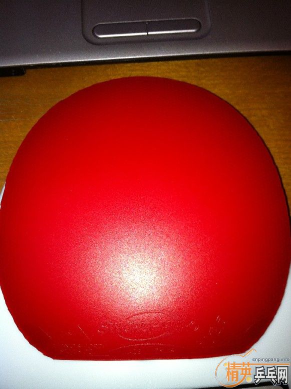 ֧������Щ�ͼ۵װ���׽�