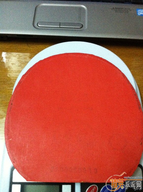 ֧������Щ�ͼ۵װ���׽�