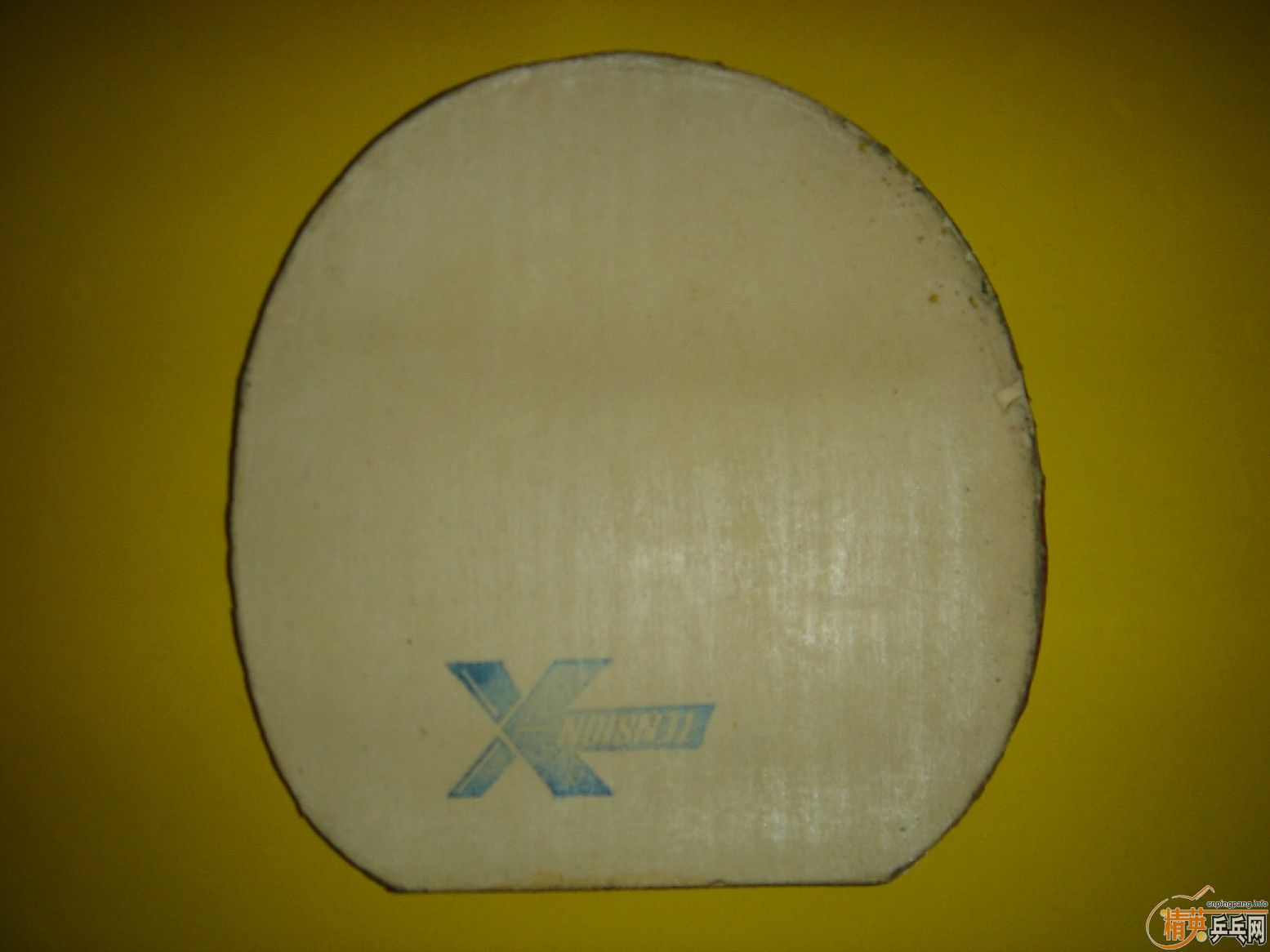 ֧������Щ�ͼ۵װ���׽�