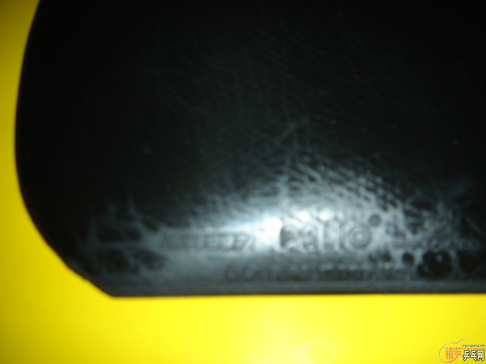 ֧������Щ�ͼ۵װ���׽�