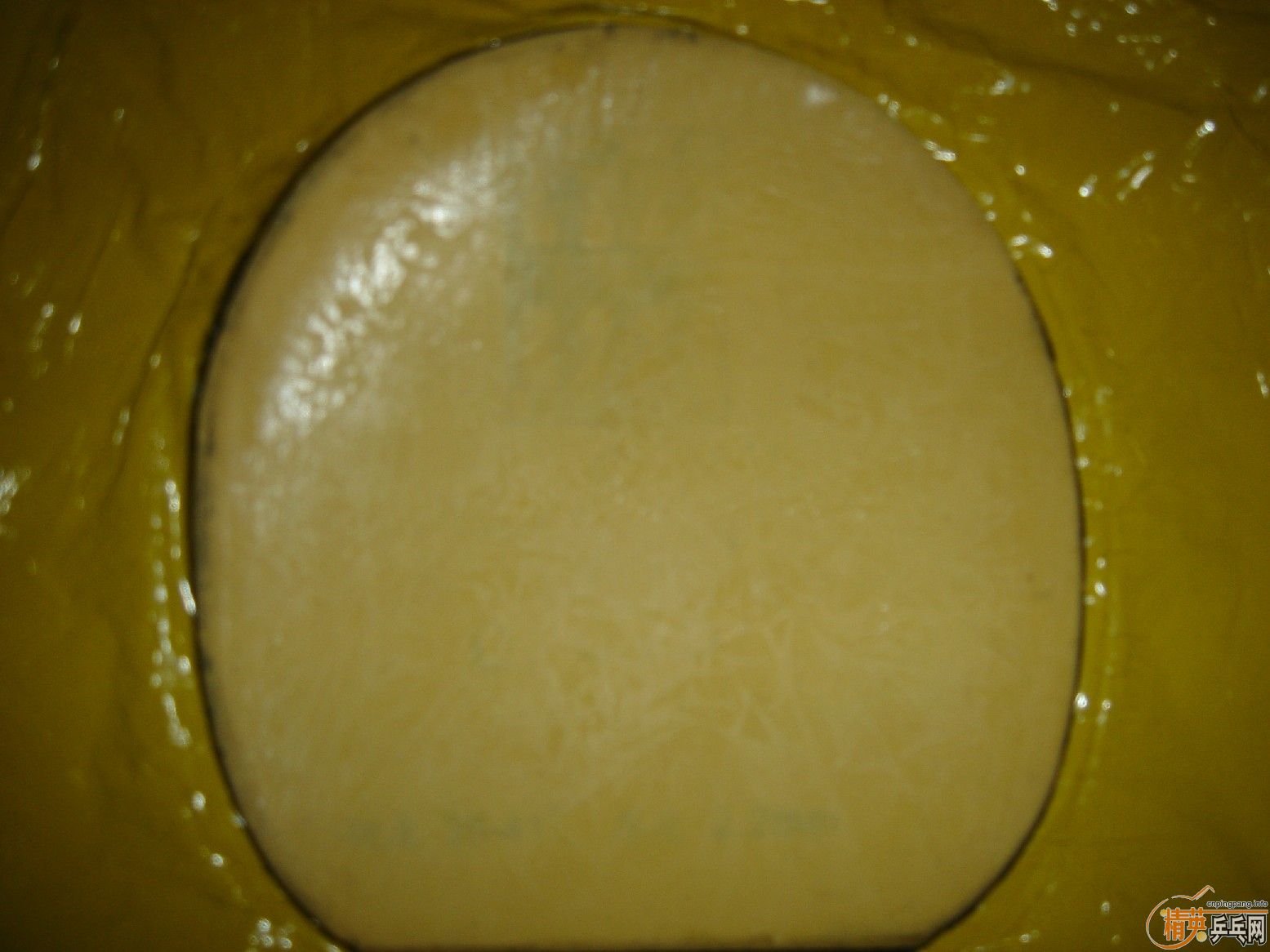 ֧������Щ�ͼ۵װ���׽�