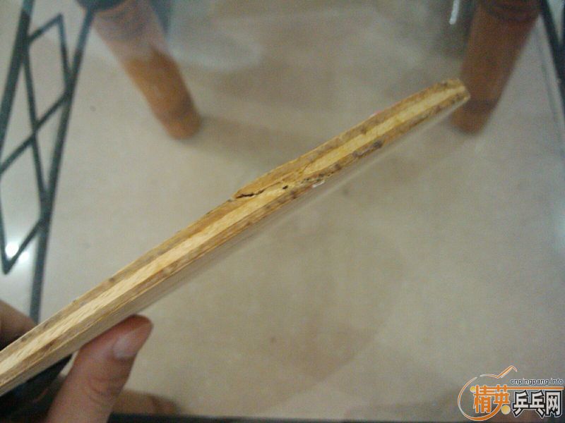 [�Ƽ�]�ߵ��� �������� ��𩣻