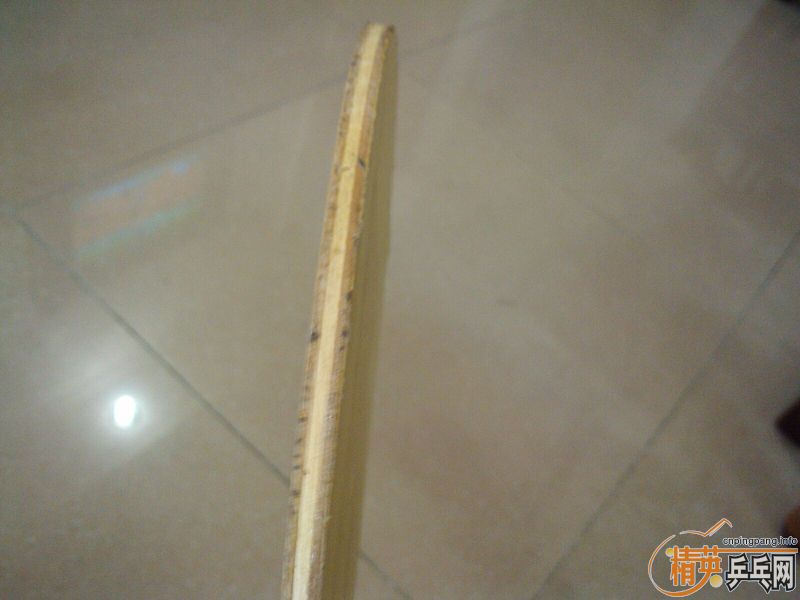 [�Ƽ�]�ߵ��� �������� ��𩣻