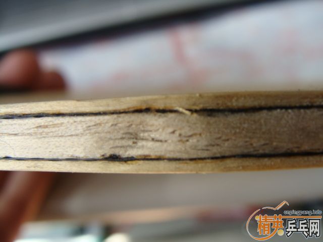 ���������һ������Ƿ�ϱ������޲���