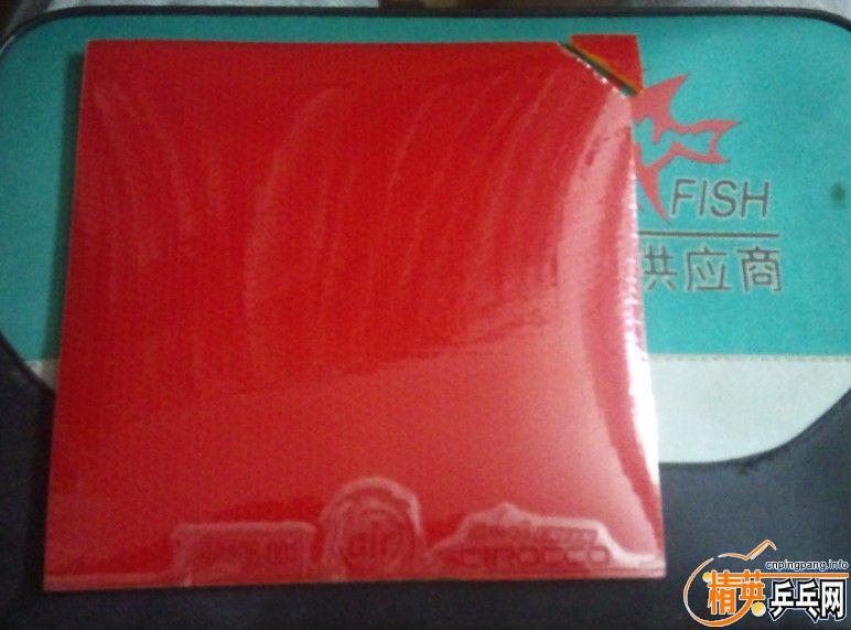 ���ڽ�Ƥ������ϵ�װ�