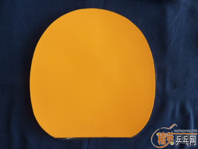 64l69497.jpg