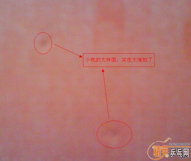 [ԭ��]����...���������µκ����...�칭3