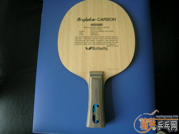 ���׽��VIS