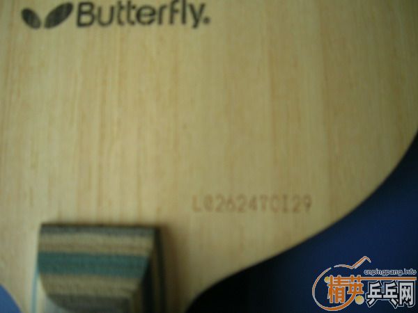 ���׽��VIS