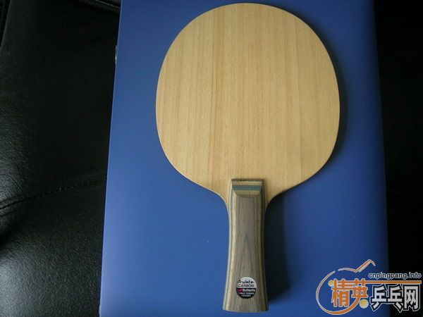 ���׽��VIS