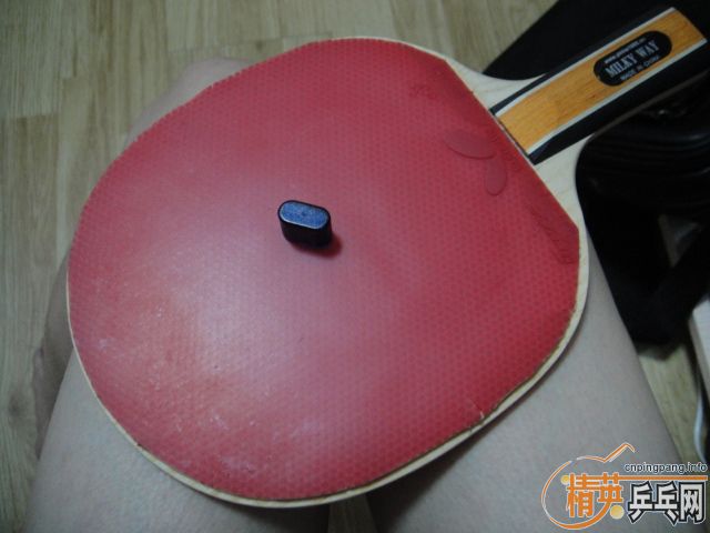 ��������-------˳���SPEED FX+EL MAX����Ƥ���120��