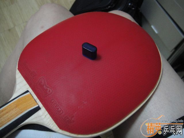 ��������-------˳���SPEED FX+EL MAX����Ƥ���120��