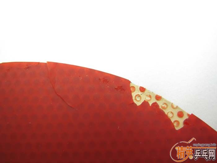 30Ƭ���ֽ� DONIC F1 ����SRIVER ��˫ϲ���� ��