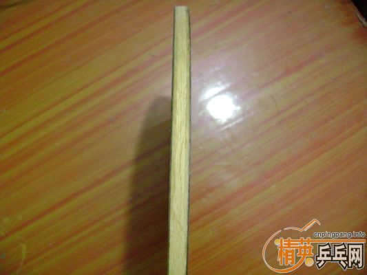 ������anv wl300������(�ѳ���лл��ע��