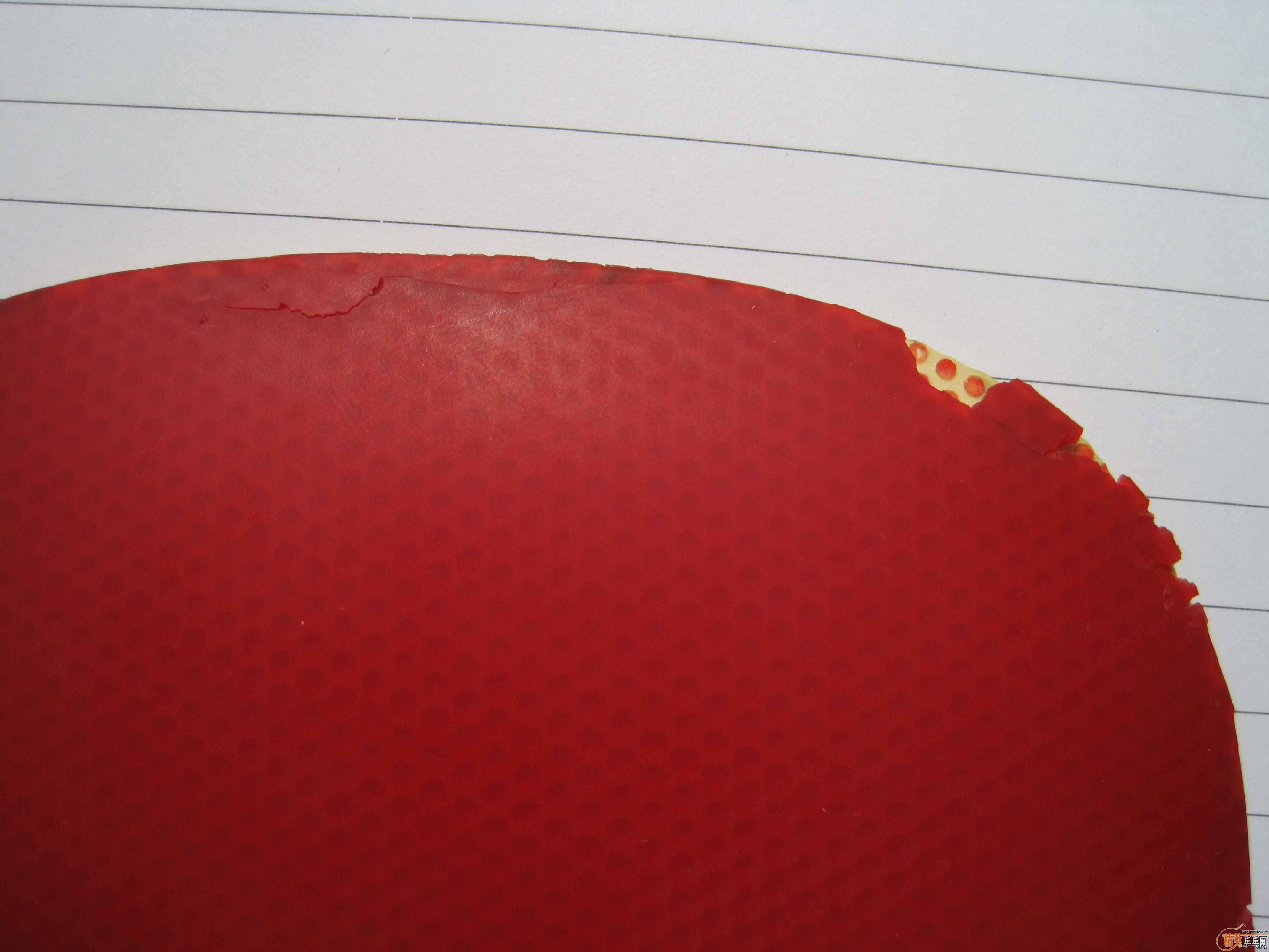 ����ֱ�׽����飨ROXON 500��F1��G3)